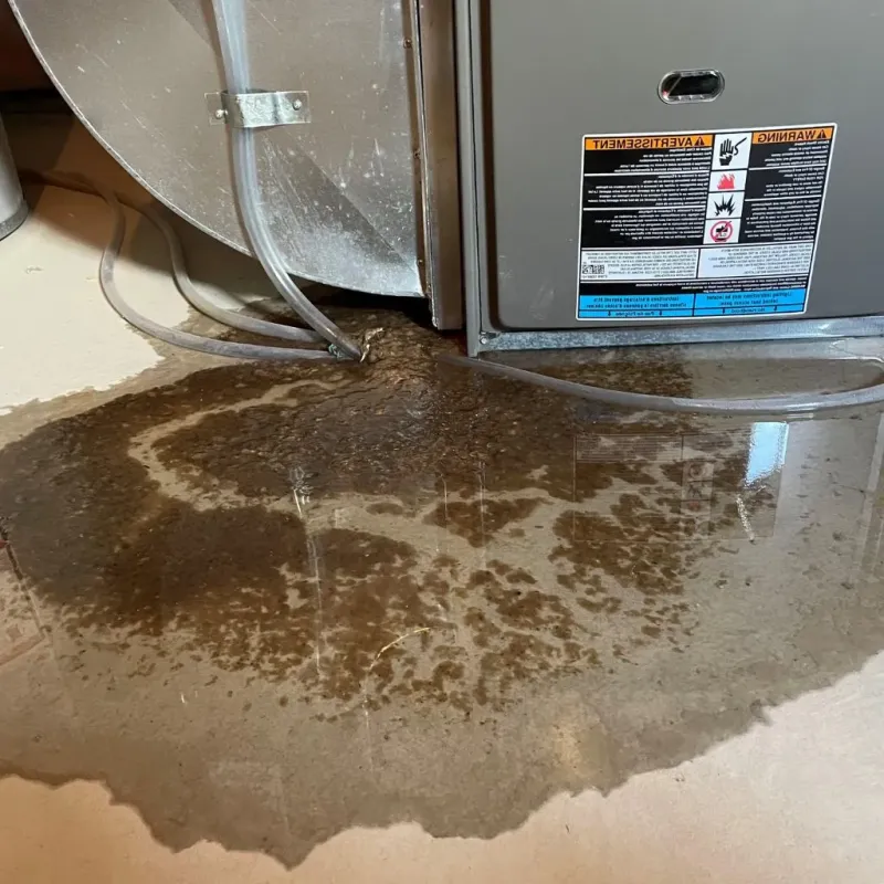 Pipe Burst and Leak Restoration in Fulton County, NY